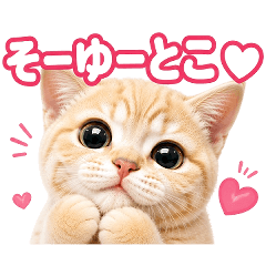 恋人に送る♡ほんわかニャンコ