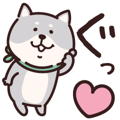 Black Mame Shiba. Everyday favorites