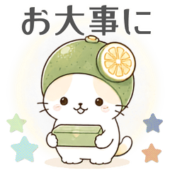 Tokushima Sudachi Cat - Gentle Care