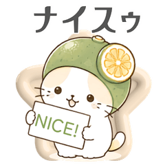 Tokushima Sudachi Cat - Warm Empathy