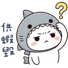 (S)shark cat_Chat with You