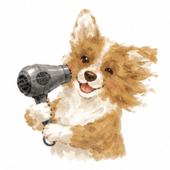 CorgiEveryLife
