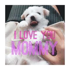my baby CHANEL