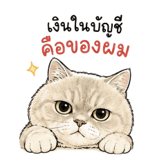 ทาสแมว v.2