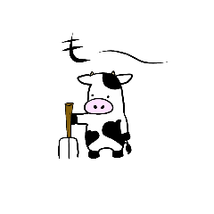 Cow holstein