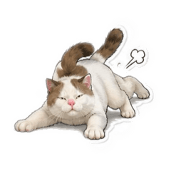 Cat family_20260717012202