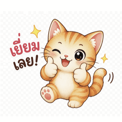 Meow meow-Pom