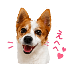 Hana_20260722151541