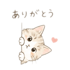Hana_20260722164943