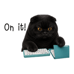 Nori Chubby Black Fold Work (EN)