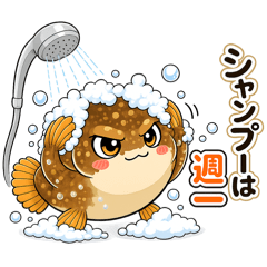 hirame_20260722132826