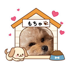 yuka_20260722213947