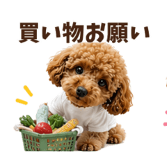 Toy Poodle Family Message Stickers