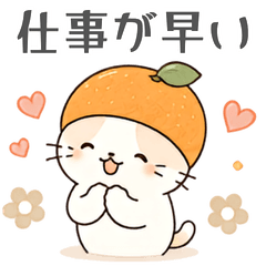 Ehime Mikan Cat - Kind Appreciation