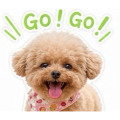 moko moko_20260722204825