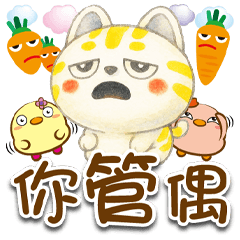 《生活好實用》★愛玉★