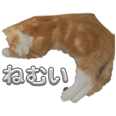 yun_20260722223818