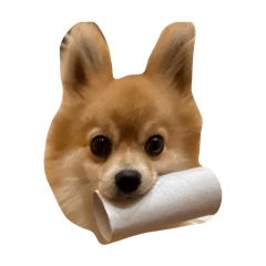 Fennick