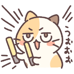 potteri cat(Fan activities)