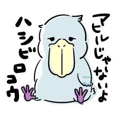Chobisuke the Shoebill