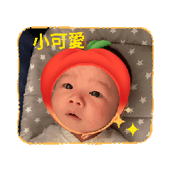 豆豆的愛