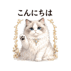 Ragdoll's Elegant Days.