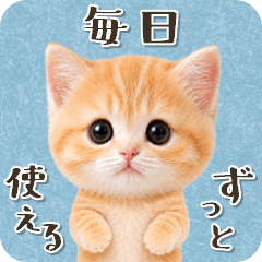 A kitten that you can use forever