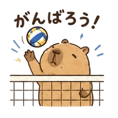 Cute Capybara: Volleyball!