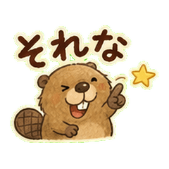 Clumsy Beaver Daily Reactions