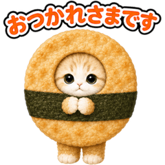Cat in Costume Reactions JP 77