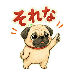 Hungry Pug Happy Reactions