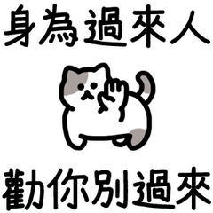 Lucky Rhyming Cats 25 (I've been there)