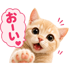 吹き出し♡恋人に送る ほんわかニャンコ