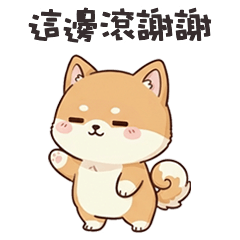 chubby shibainu shibainu4