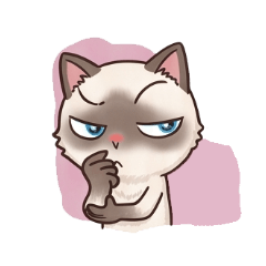 agdoll cat is so cute A2