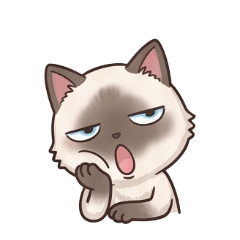 agdoll cat is so cute A3