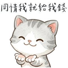 QQQQQQQQQQQgrey meow8
