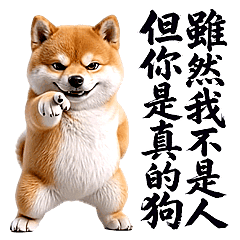 Dance Mania - Q Shiba Inu RE (FS)