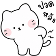 แมว