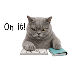 Suri Skeptical Gray Cat Work (EN)