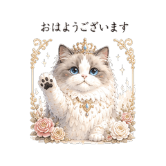 Ragdoll Princess Diary