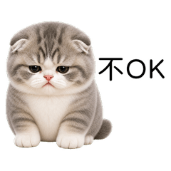Fluffy Chubby Cat(TWN)