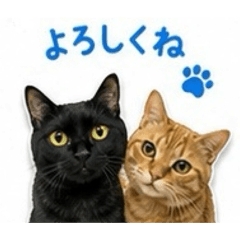 REOMARU_2026072314