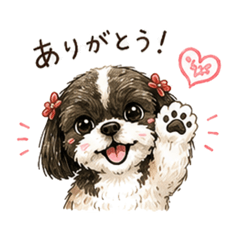 hana_20260723152806