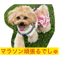 momo_20260723123445