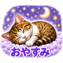 Kobacchi_20260723160639