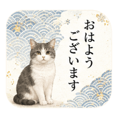 aikamm_20260723161548