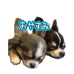 mayu_20260724003445