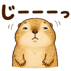 Name: Prerin Everyday Stickers 40