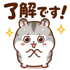 Hammy the Hamster Daily Life 40
